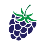 blackberry