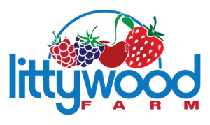 Littywood Logo